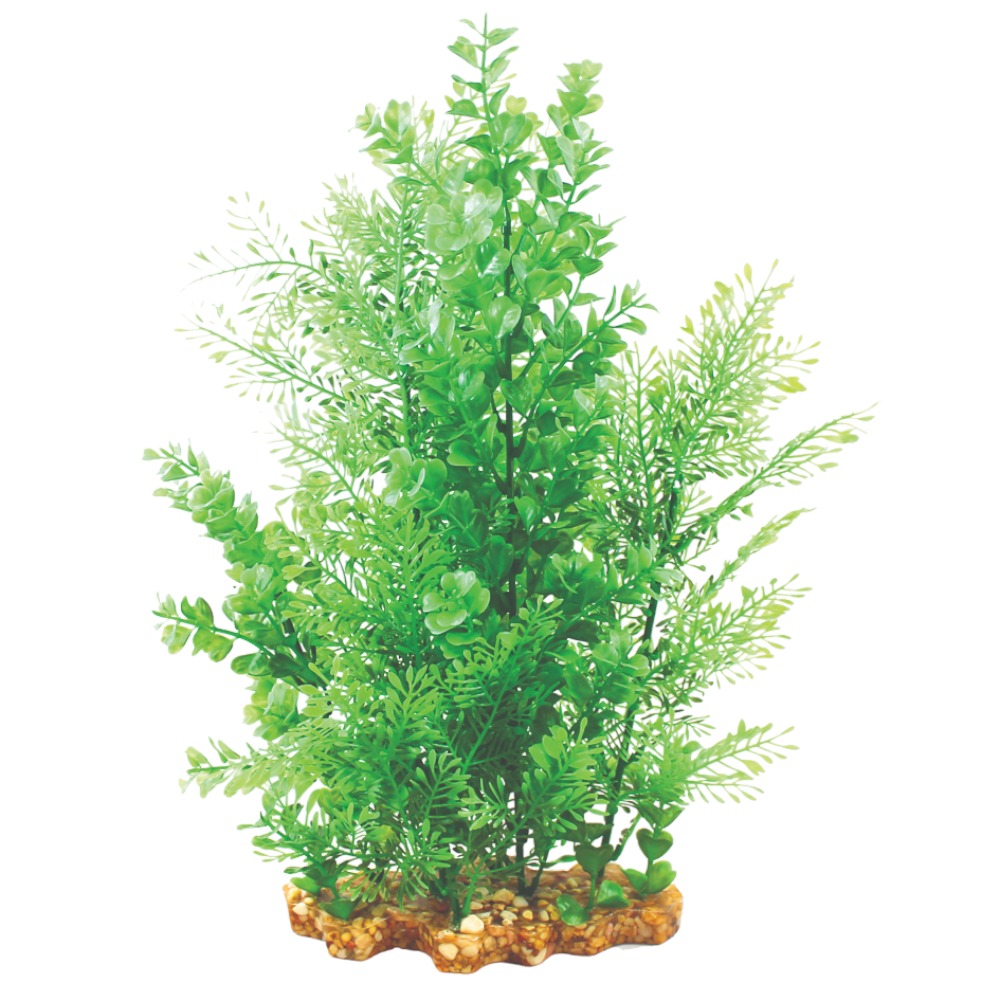 AquaOne Vibrance Wisteria/Bacopa (XL)