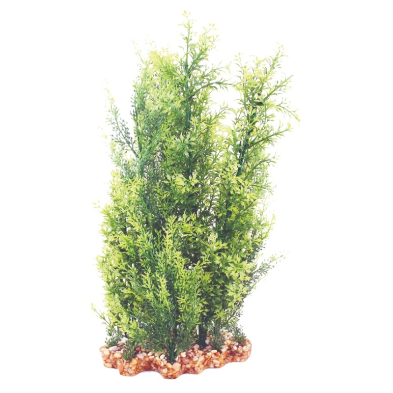 AquaOne Vibrance Hygrophila/Ludwigia (XL)