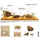WIO Mere River Kit, Size 0,1-20cm 20 kg