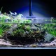 WIO Aquagrow Insula Pad