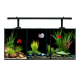 AquaOne Betta Trio Glass Aquarium