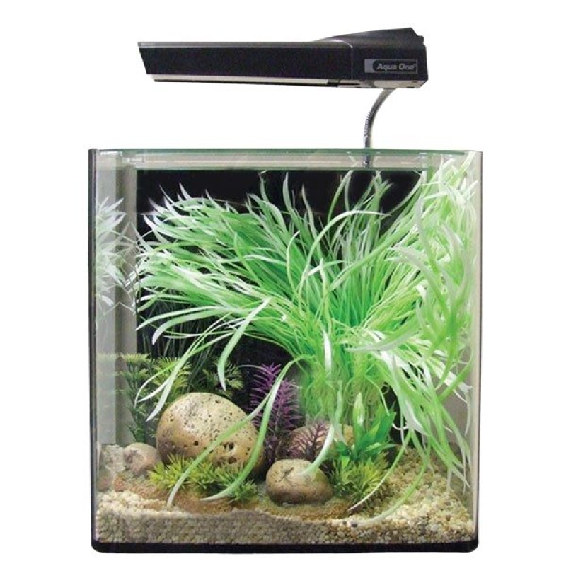 AquaOne AquaNano 40 Glass Aquarium