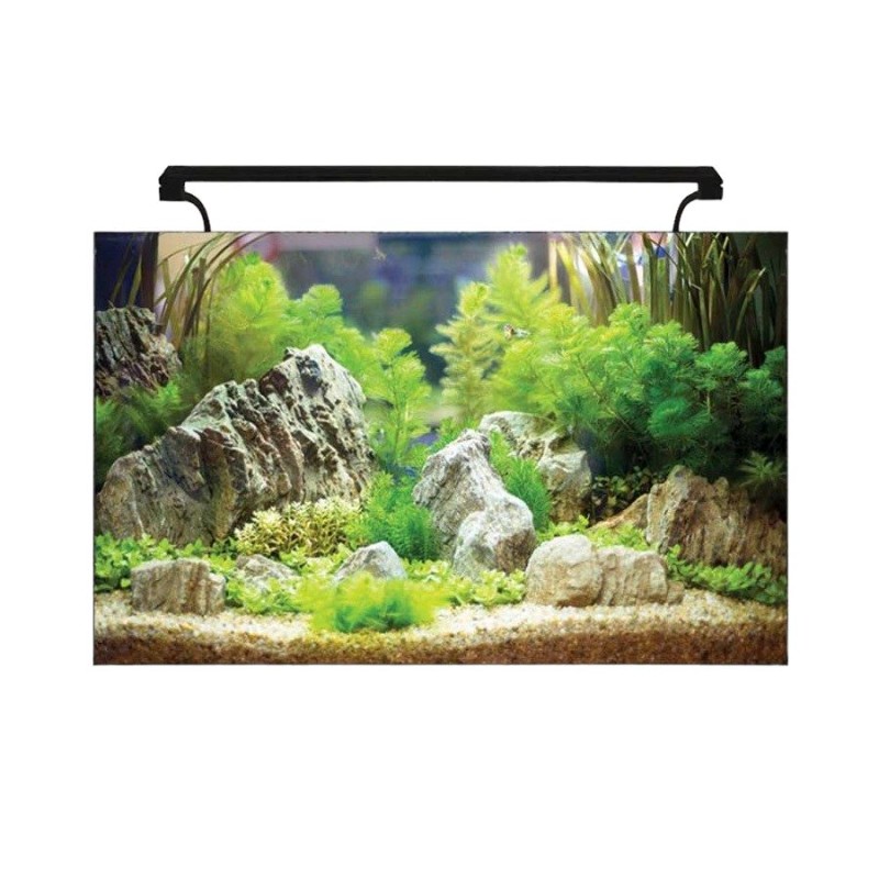 AquaOne AquaNano 60 Glass Aquarium