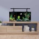 AquaOne Betta Trio Glass Aquarium