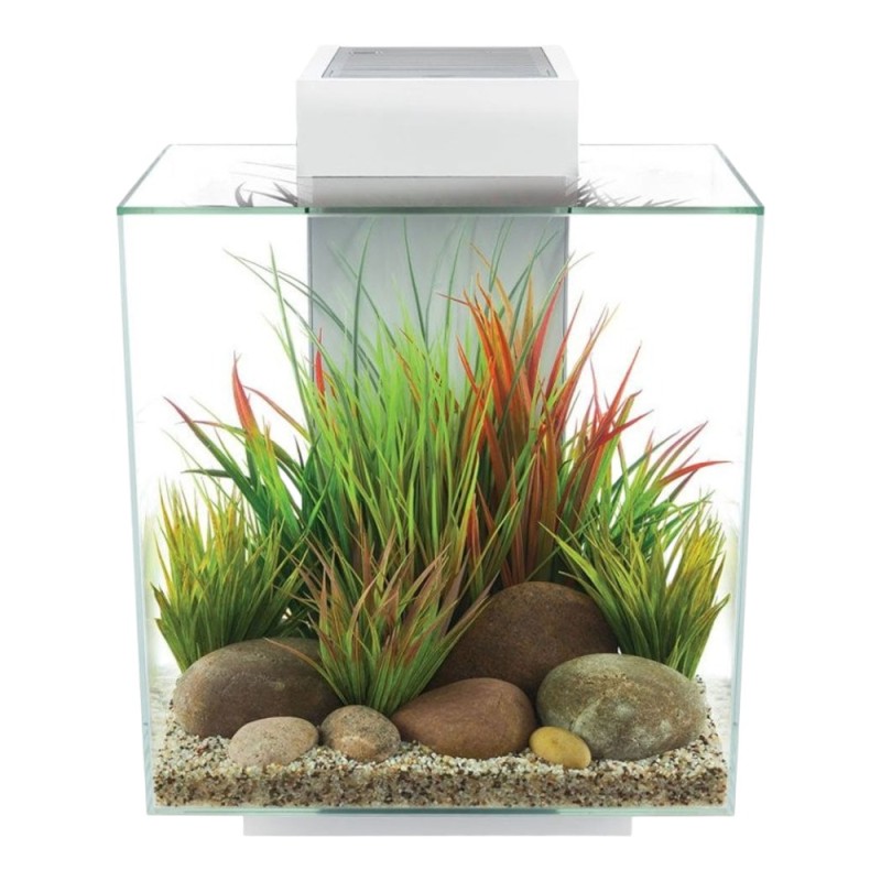 Fluval Edge 2.0 46L Aquarium Gloss White