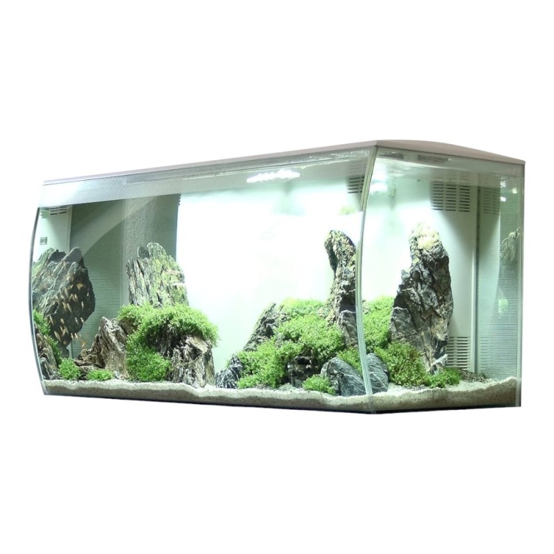 Jbl Manado – Elysium Aquarium