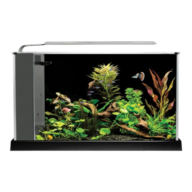 Fluval Spec 19L