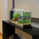 Fluval Spec 19L