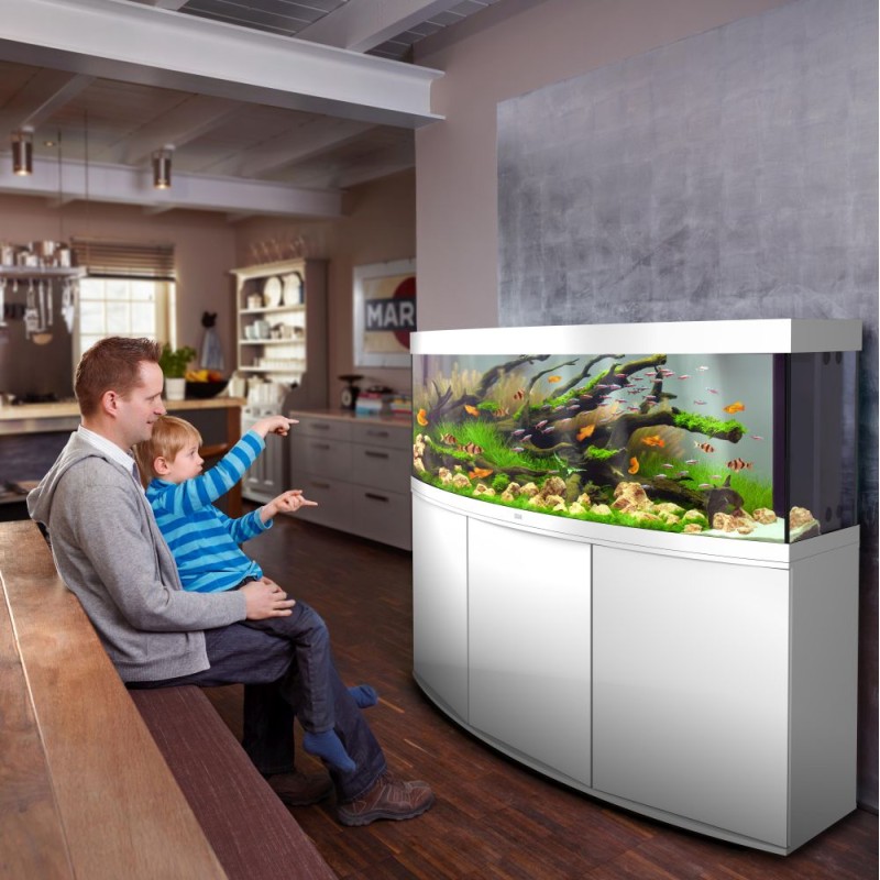 Juwel Vision 450