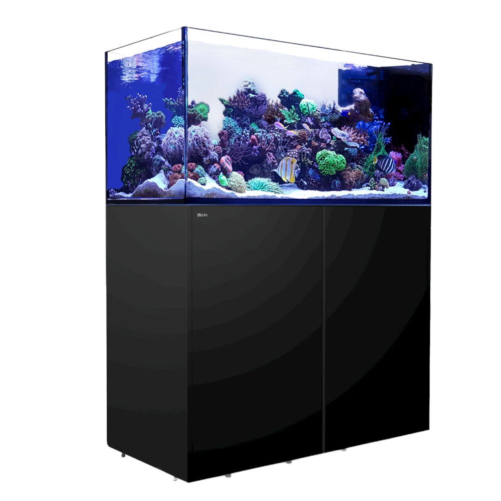 Red Sea Reefer Peninsula G3 500