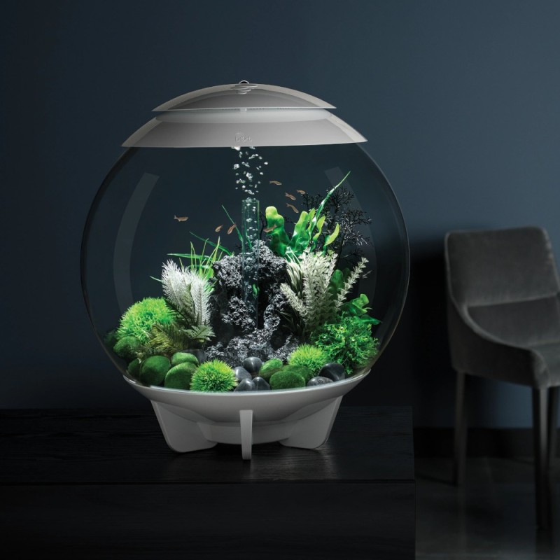 Oase biOrb HALO 60 MCR