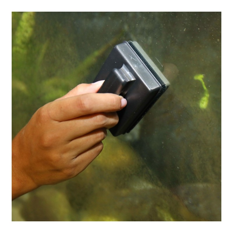 JBL Algenmagnet L