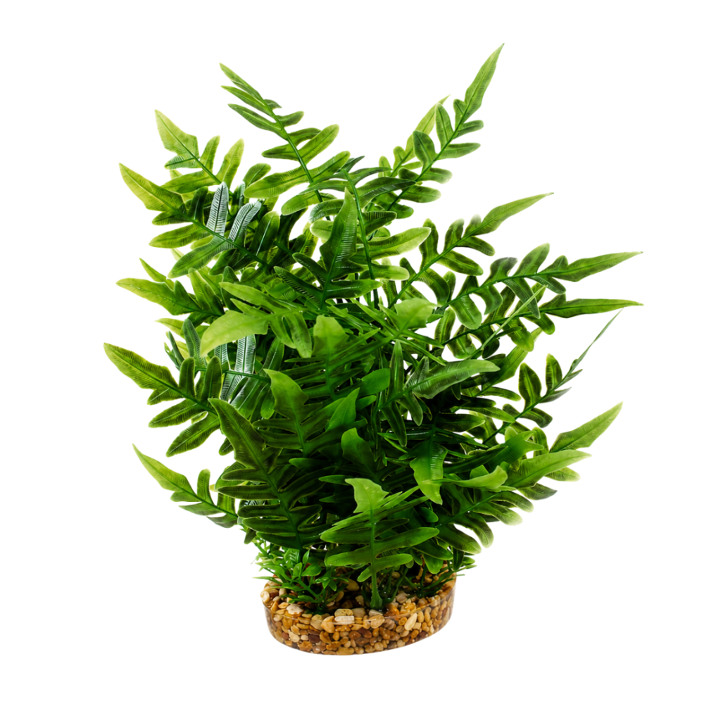 AquaOne Vibrance Green Fern (L)