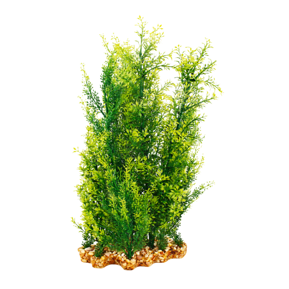 AquaOne Vibrance Hygrophila/Ludwigia (XL)