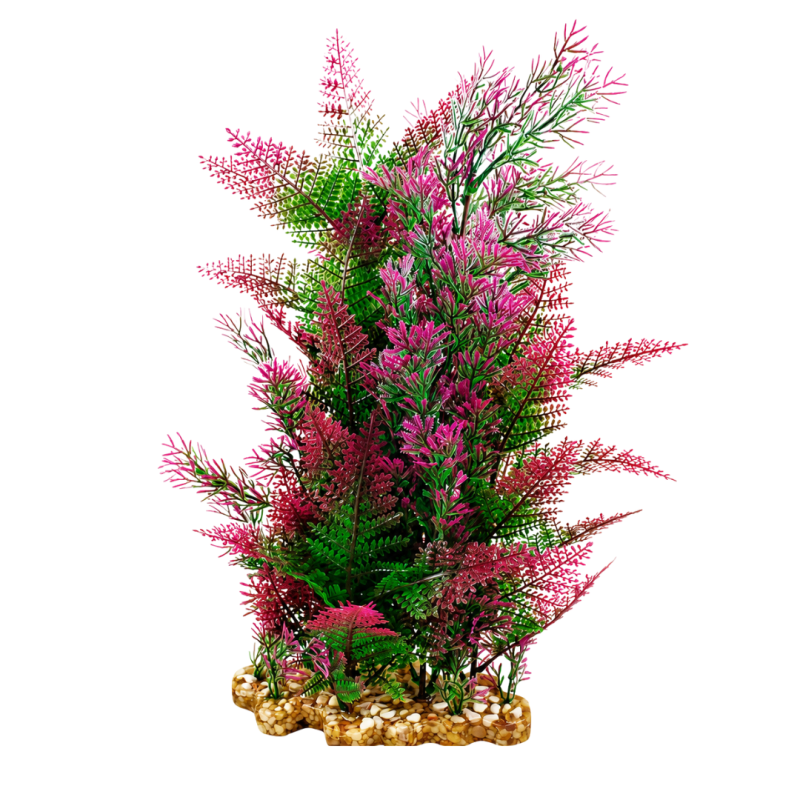 AquaOne Vibrance Purple Mix Fern (XL)
