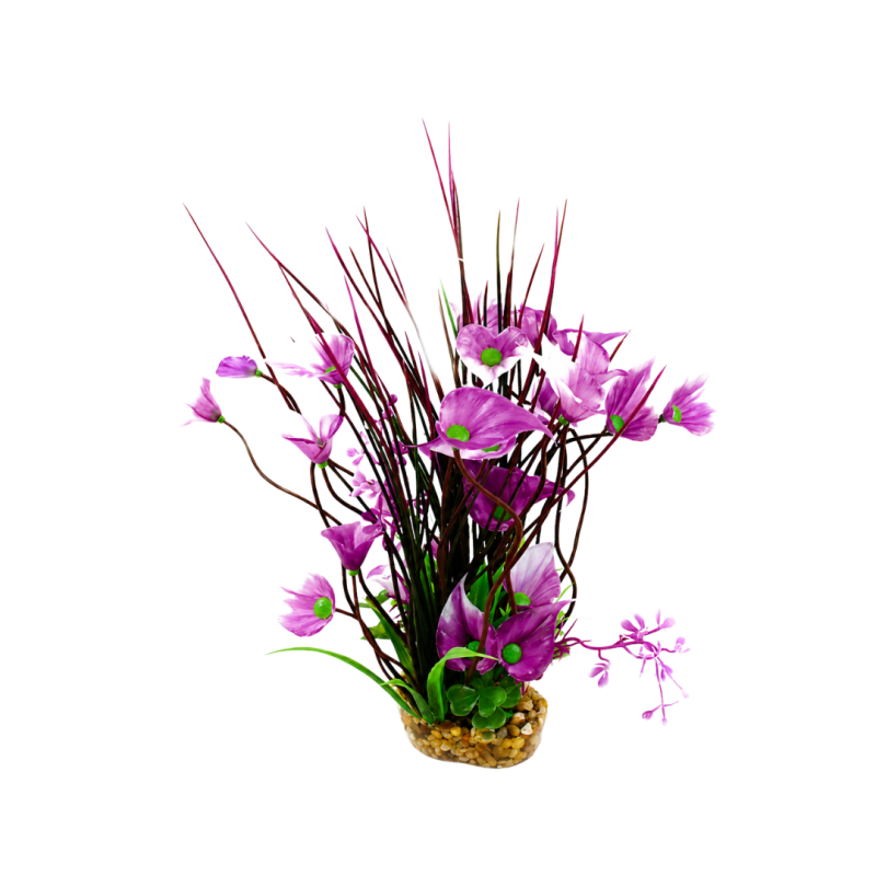 AquaOne Vibrance Purple Villarsia/Hygrophila (M)