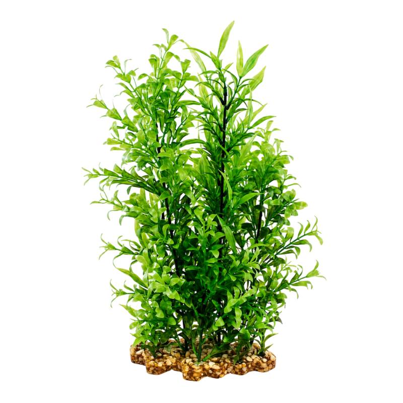 AquaOne Vibrance Wisteria (XL)