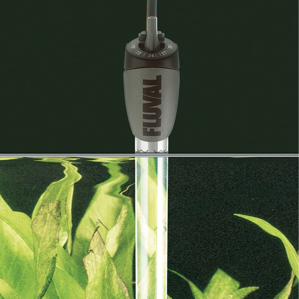 Fluval Roma 240 Aquarium  BT/LED Aquarium