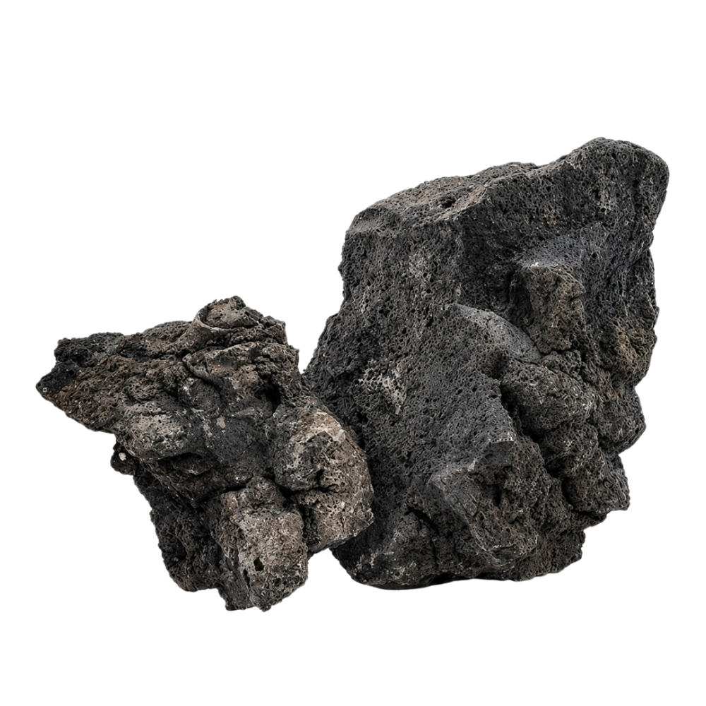 WIO Darwin Black Lava Stone Mix, Size 10-30cm 1 pcs