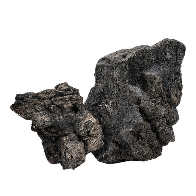 WIO Darwin Black Lava Stone Mix, Size 10-30cm 1 pcs