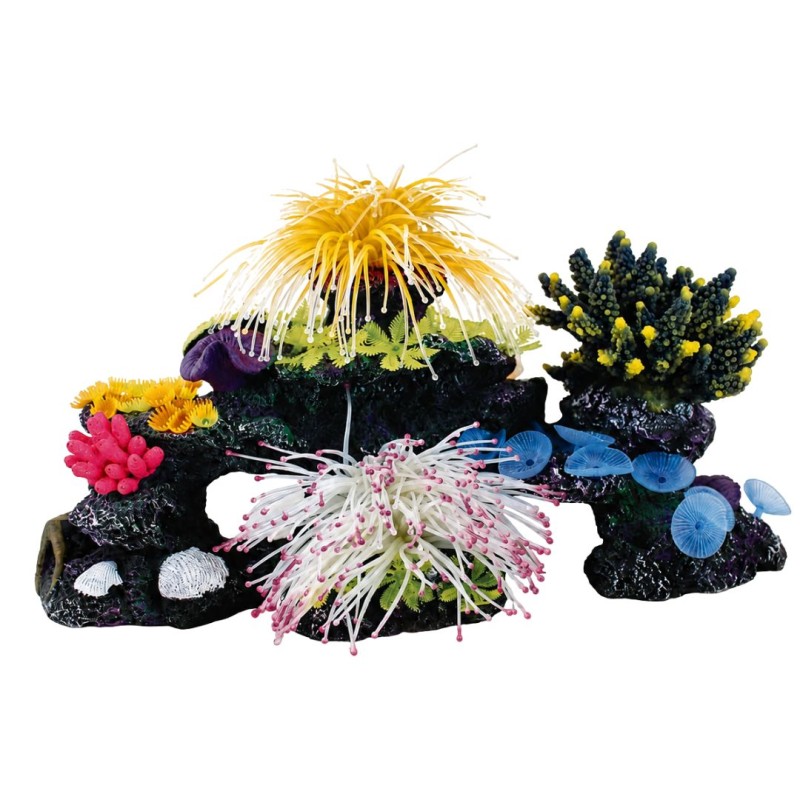 AquaOne Copi Combined Coral B Medium 40x20x20