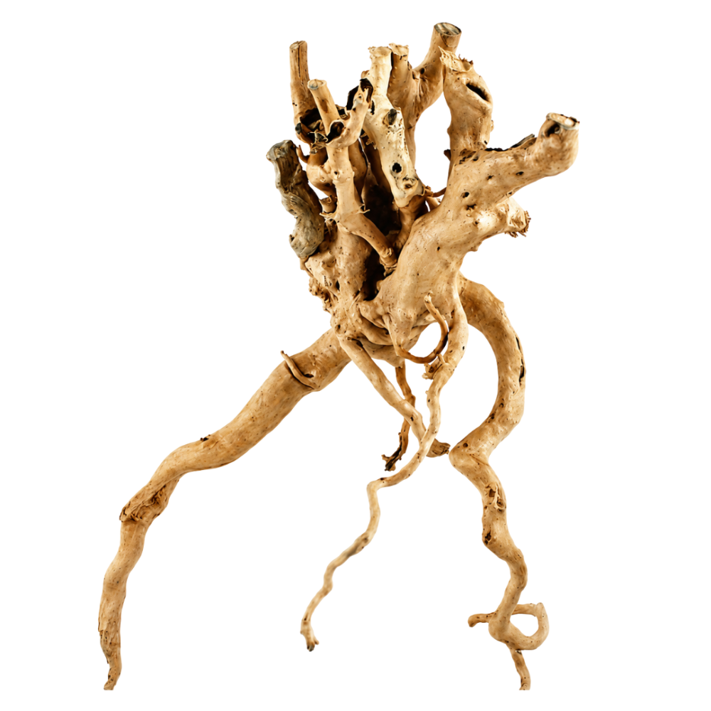 AquaOne Natural Azalea Root approx. 50 - 60 cm pieces