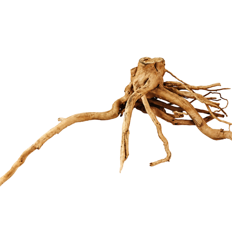 AquaOne Natural Azalea Wood XXXXL 100cm-120cm