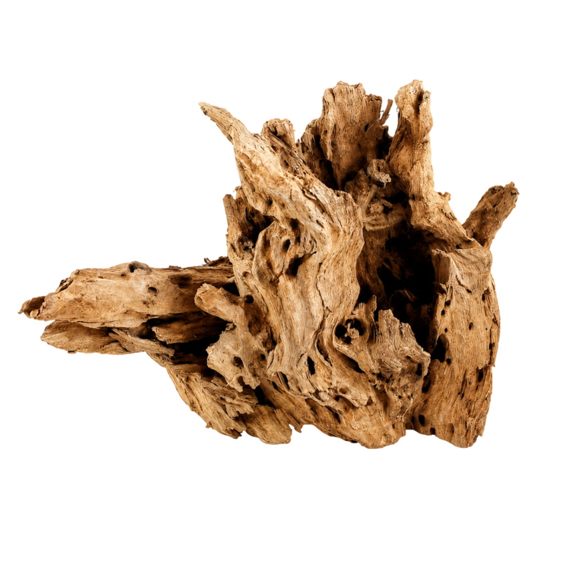 AquaOne Natural Driftwood (XL) (51-77cm) Loose