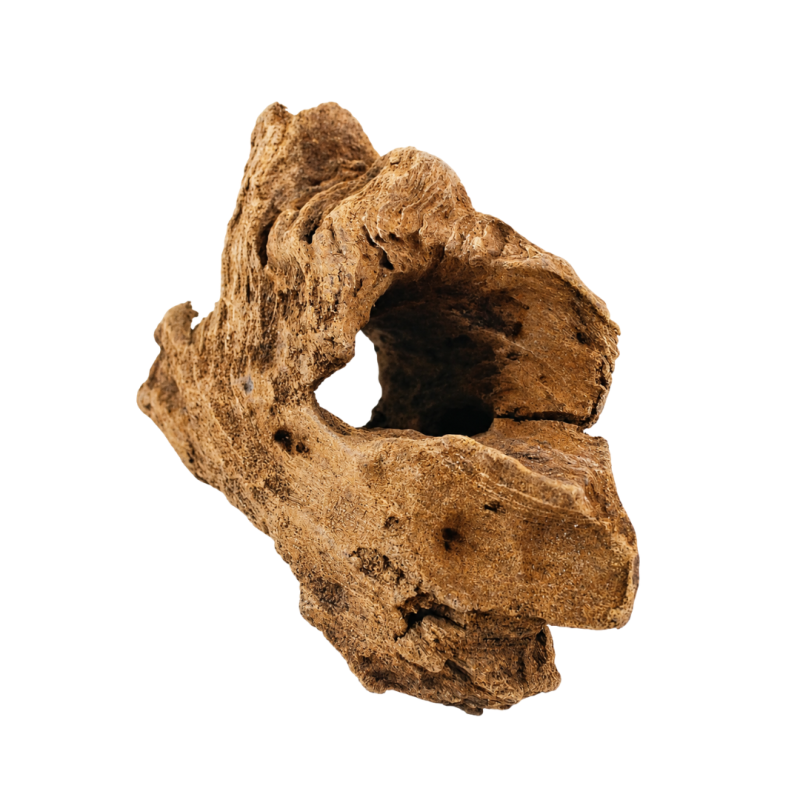 AquaOne Natural Driftwood (XS) (19-23cm) Shrink wrapped