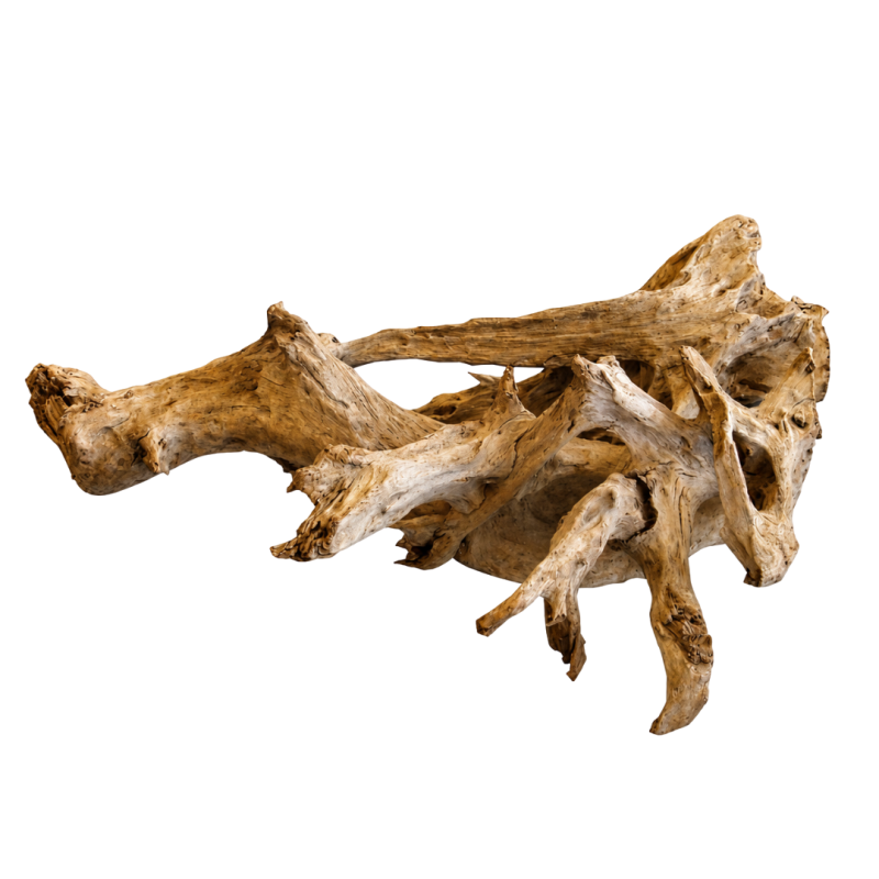 AquaOne Natural Mangrove Root Large (40-60cm) Real Wood