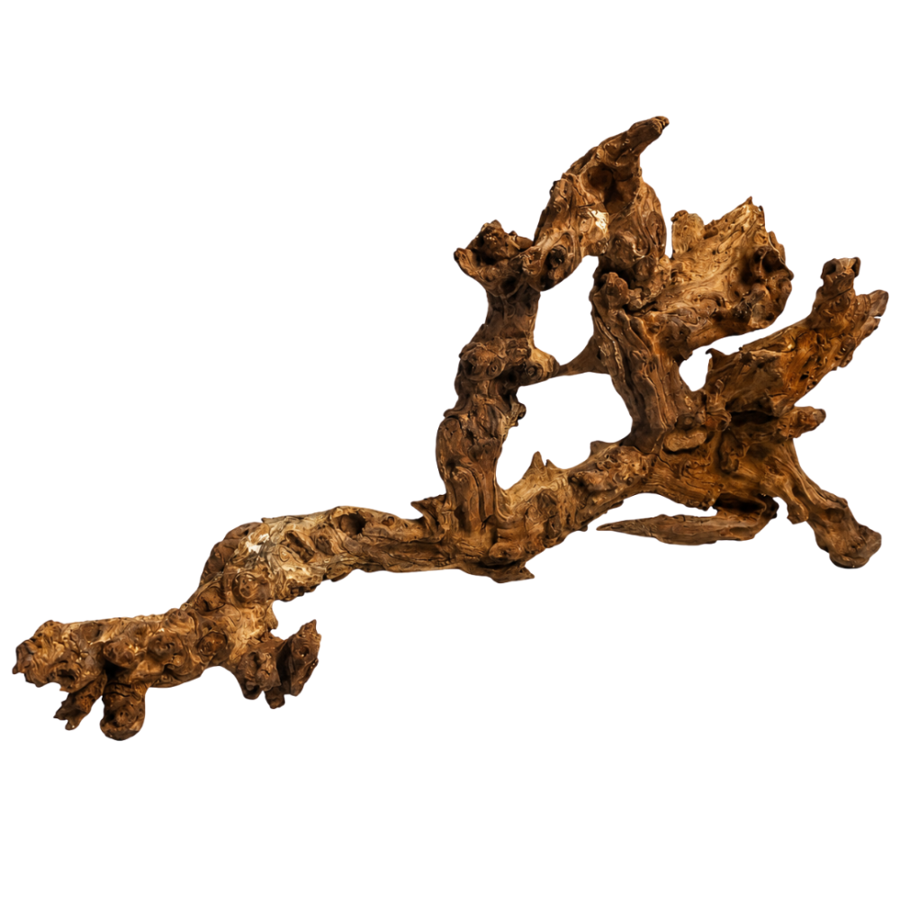 AquaOne Natural Mopani Wood Jumbo 50-60cm