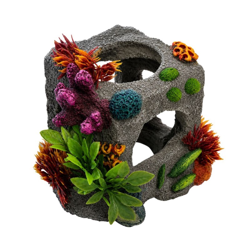 Coral Block
