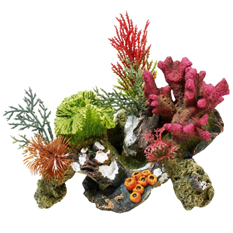 Classic Coral Rock & Plant 3134