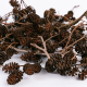 Green Aqua Alder Cones - 50g