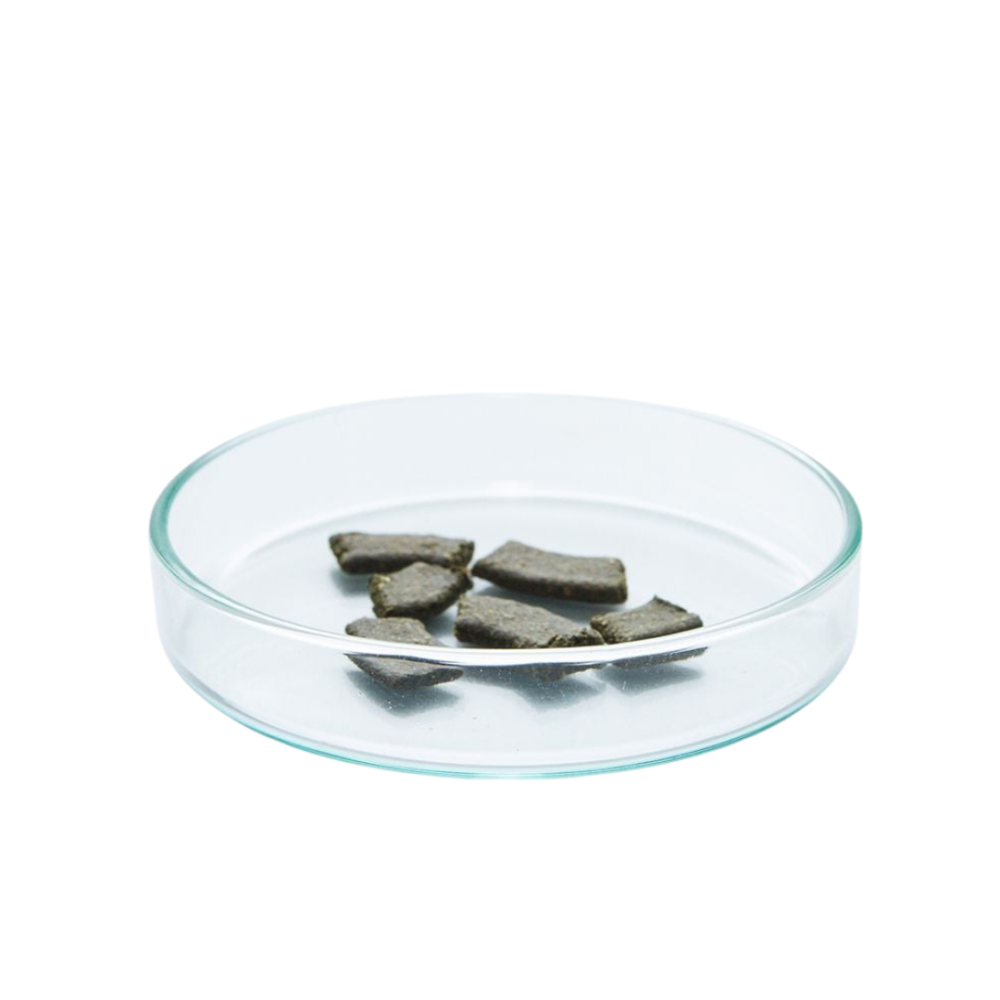 Green Aqua Shrimp Feeding Dish