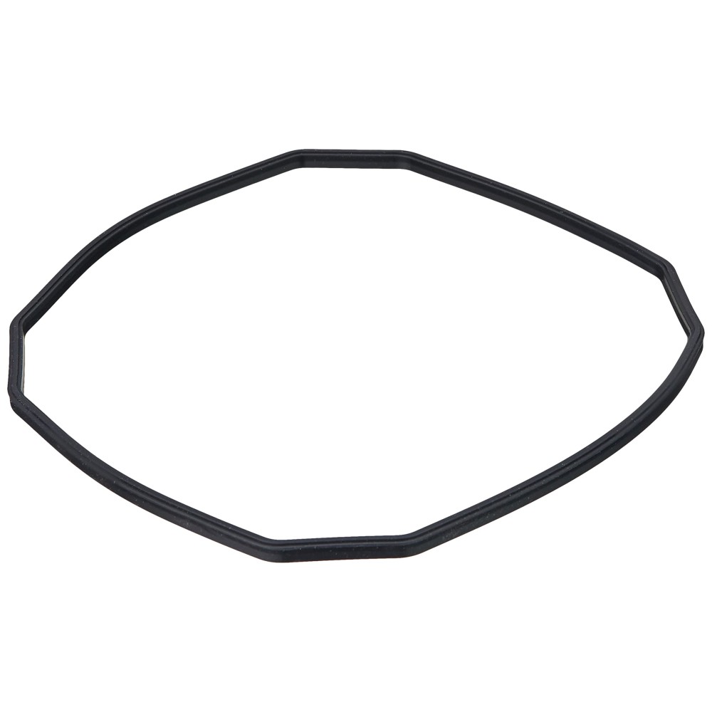JBL CP e15/1900/1,2 Pump head rubber gasket