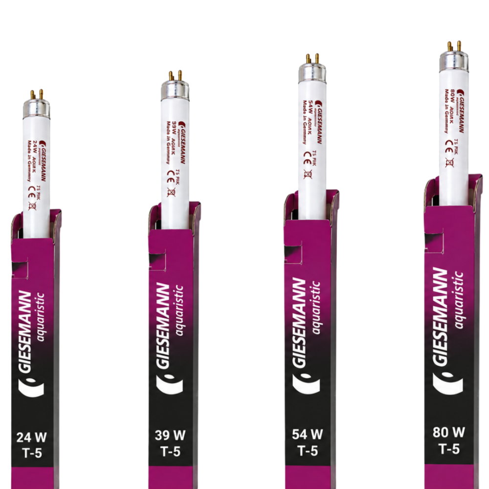 T5 Aqua Pink 24w Bulb