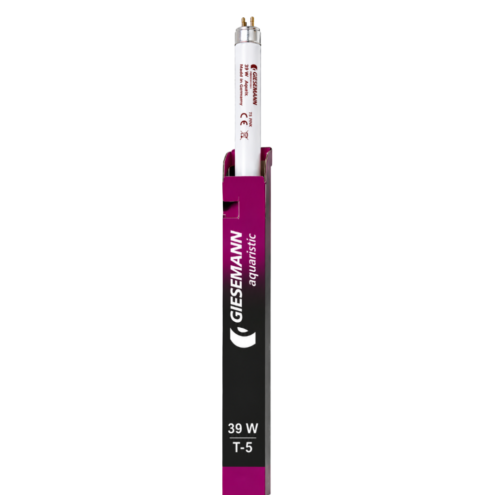 T5 Aqua Pink 39w Bulb