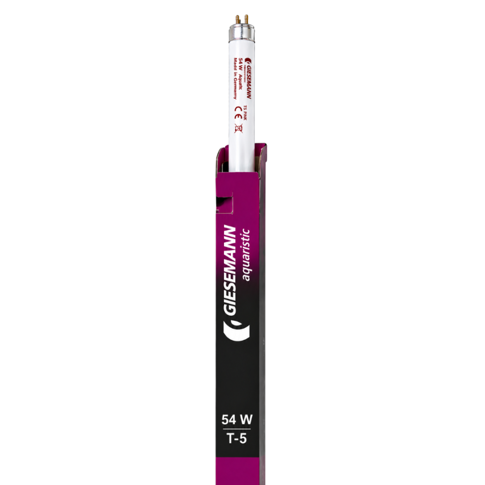 T5 Aqua Pink 54w Bulb