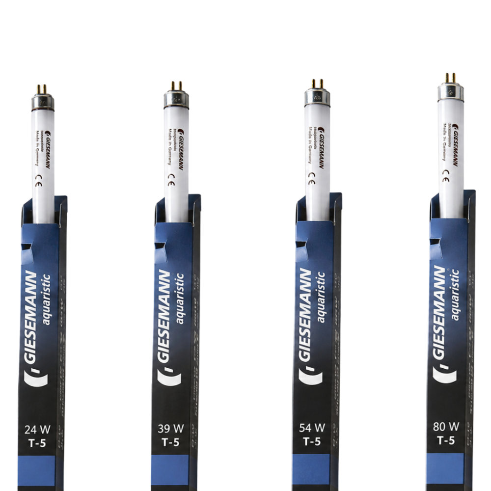 T5 Aquablue Plus 24w Bulb
