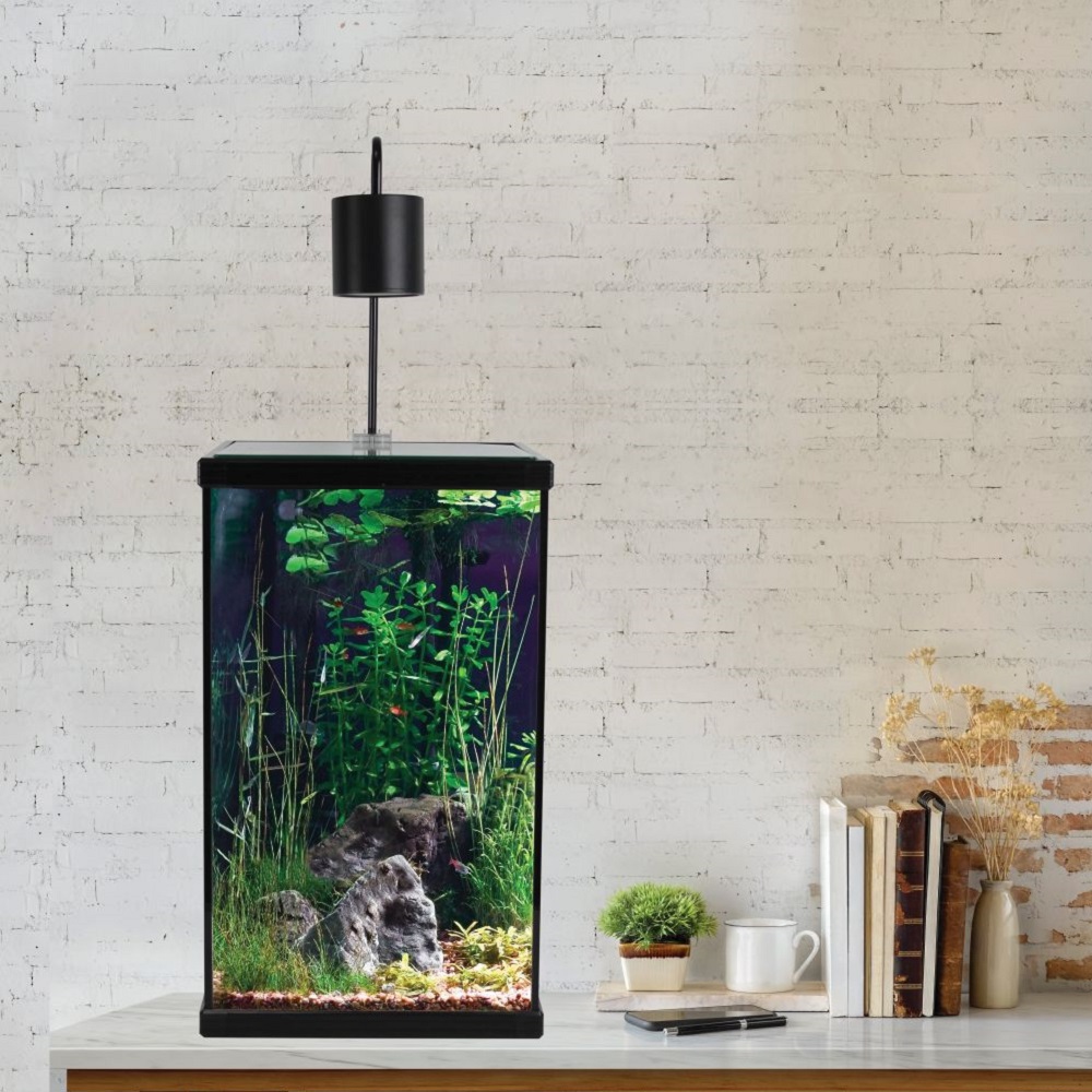 Beginner/Desktop Aquariums