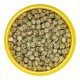 JBL PRONOVO Fantail Grano M