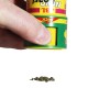 JBL NovoPearl 100ml