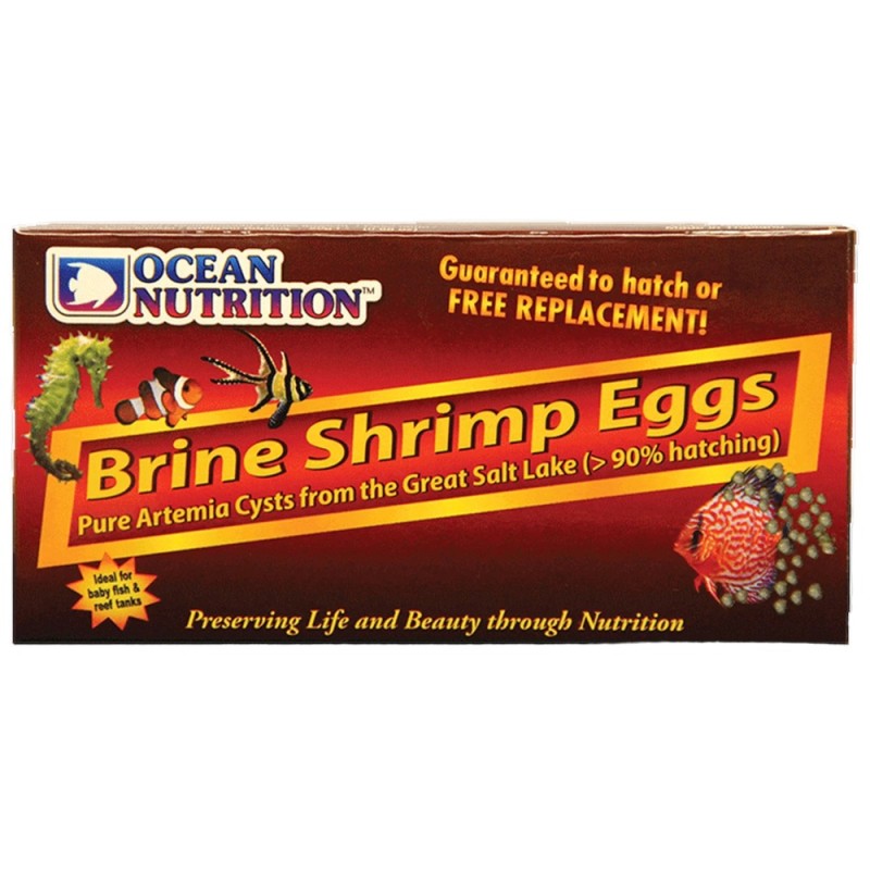 Brine Shrimp Eggs 50g