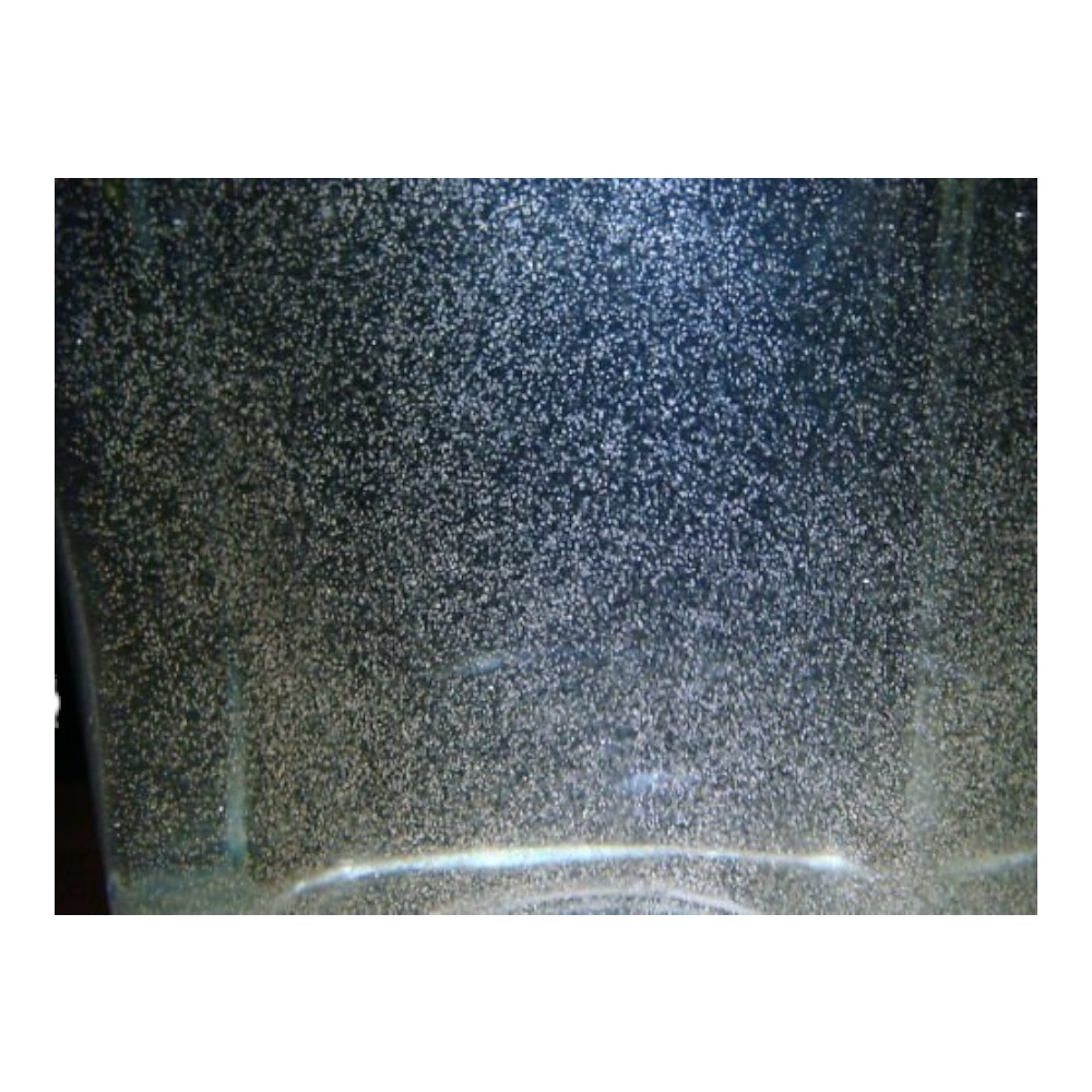 Newly Hatched Artemia 90ml