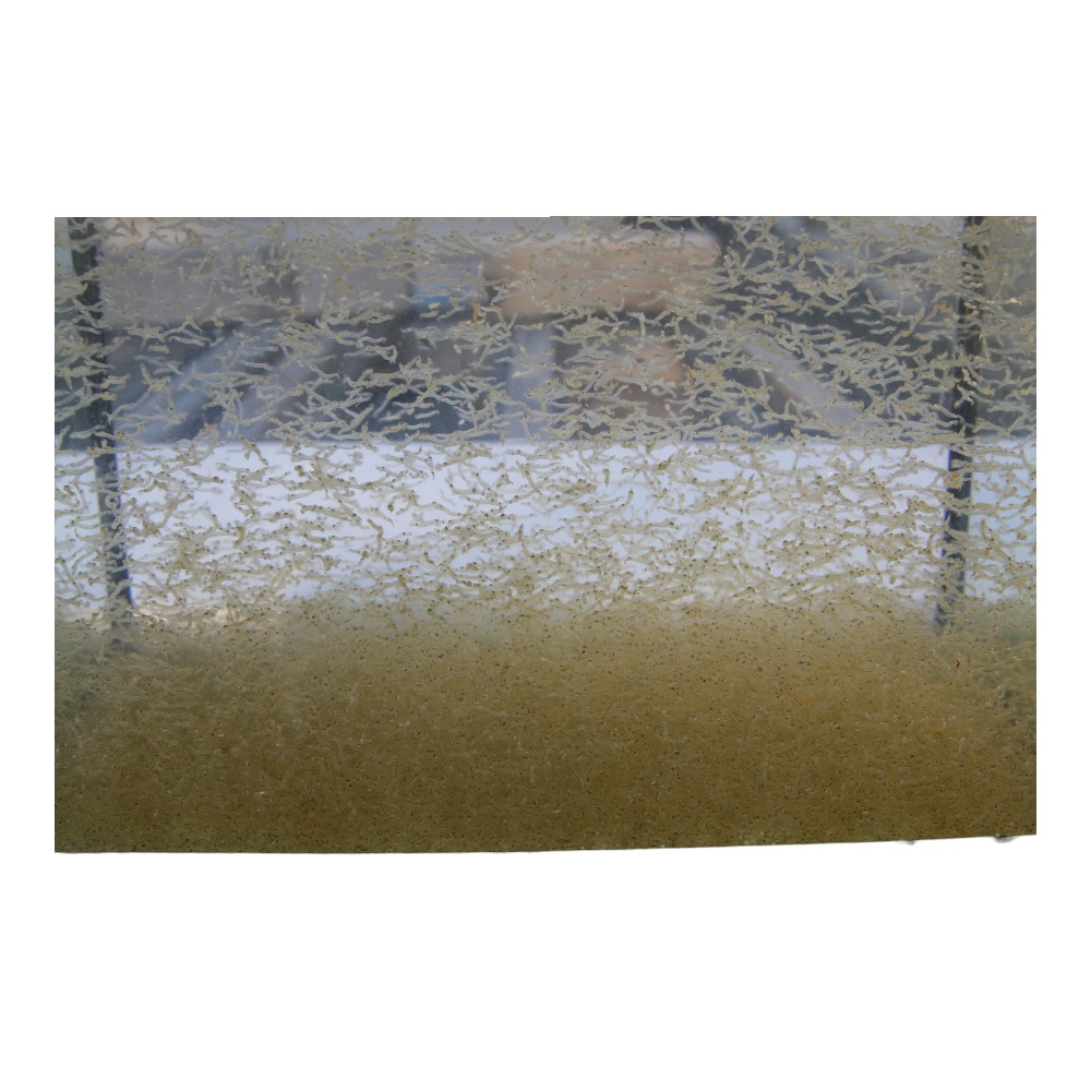 White Mosquito Larvae 45ml