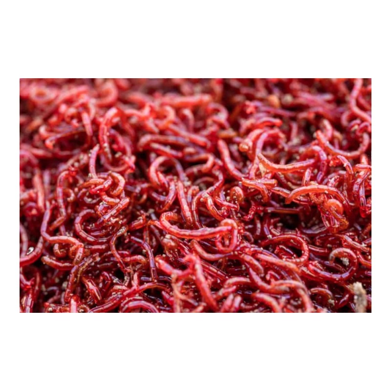 Bloodworms 45ml