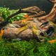 GlasGarten Crispy Caves - Edible tubes/caves, S 9pcs