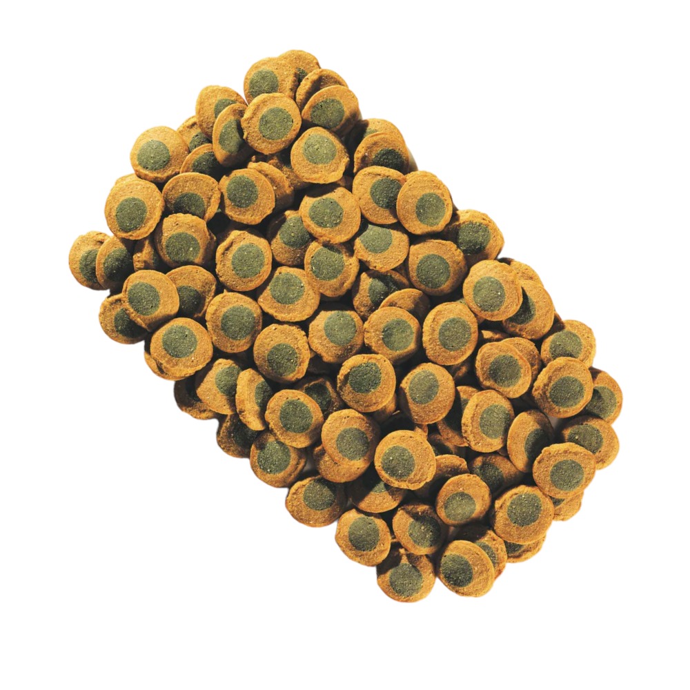 Tetra Pleco Spirulina Wafers