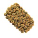 Tetra Pleco Spirulina Wafers